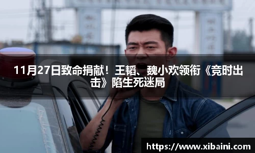 必一：11月27日致命捐献！王韬、魏小欢领衔《竞时出击》陷生死迷局